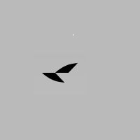 Puma Logo